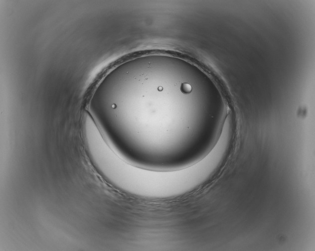 X0000113581312200910091453