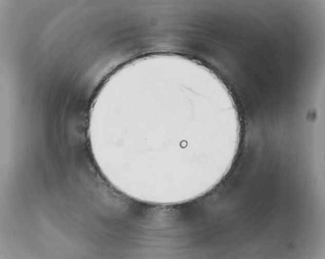 X0000113581314200910091453