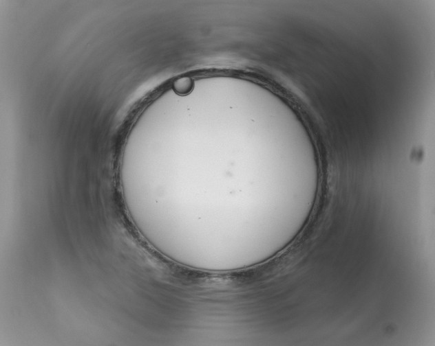 X0000113581315200910091453