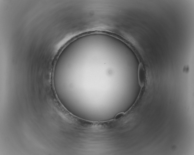 X0000113581316200910091453