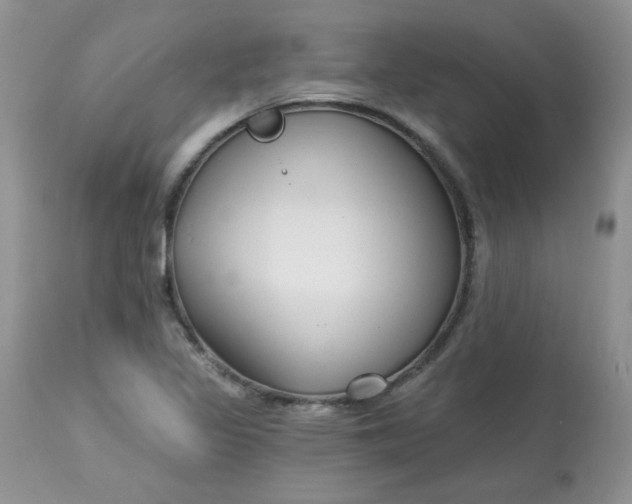 X0000113581317200910091453