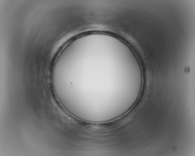 X0000113581318200910091453