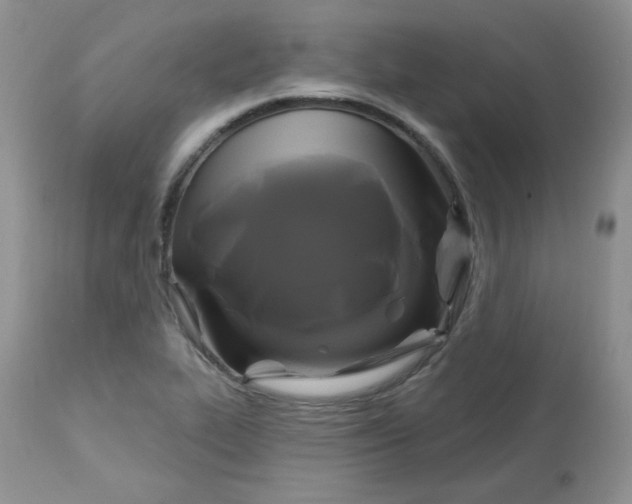 X0000113581319200910091453