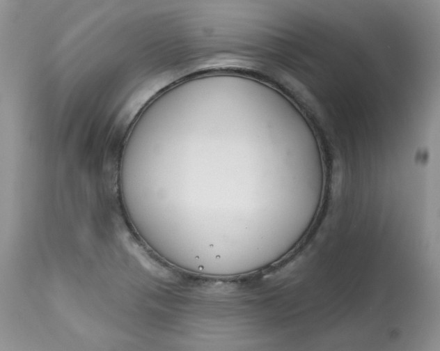 X0000113581321200910091453