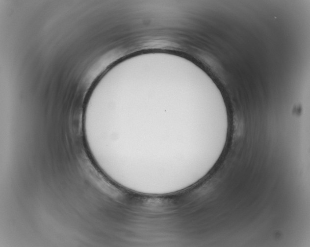 X0000113581322200910091453