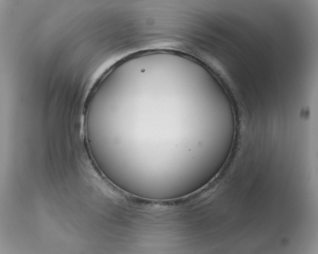 X0000113581324200910091453