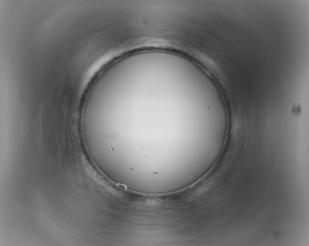 X0000113581326200910091453