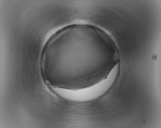 X0000113581327200910091453