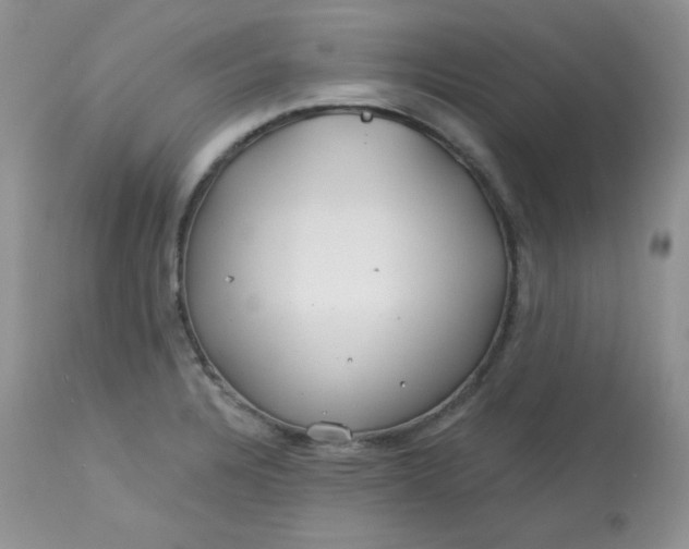 X0000113581328200910091453