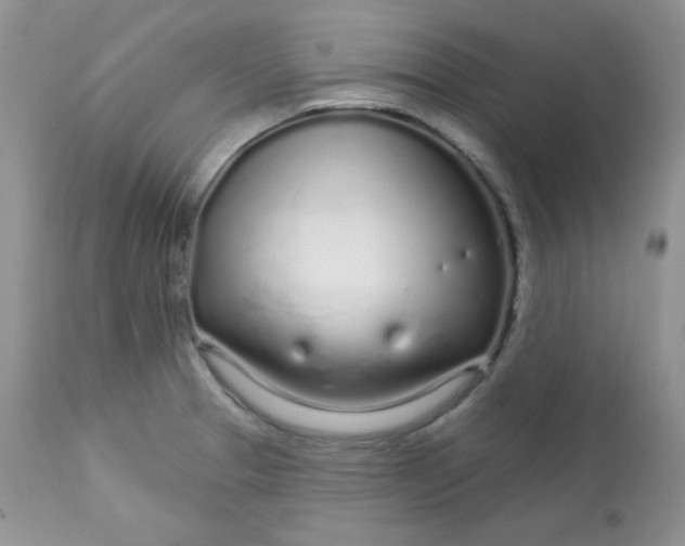 X0000113581329200910091453