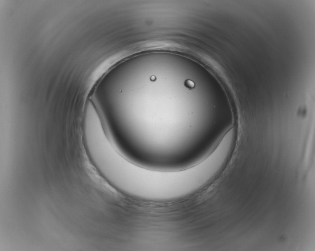 X0000113581330200910091453