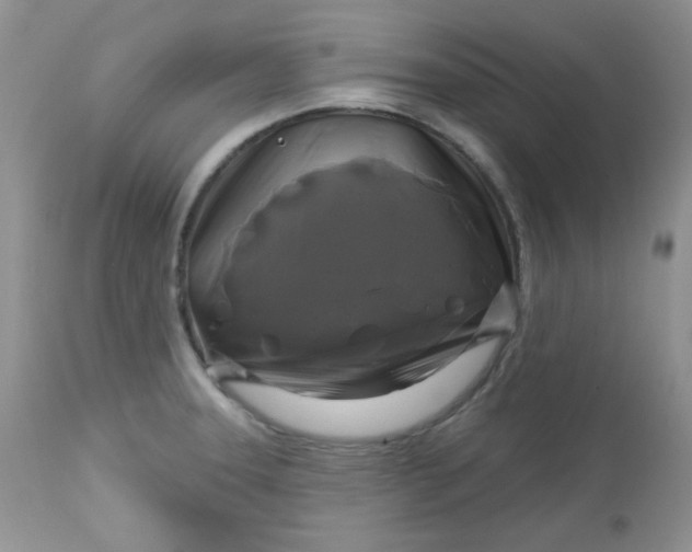 X0000113581331200910091453