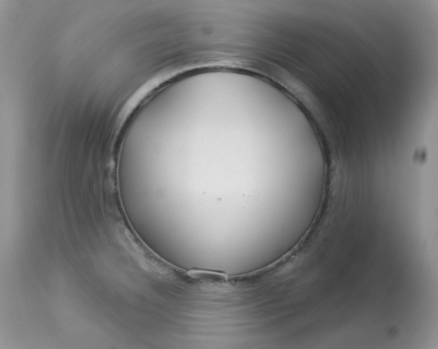 X0000113581332200910091453