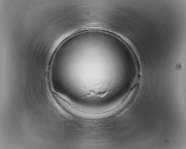 X0000113581333200910091453