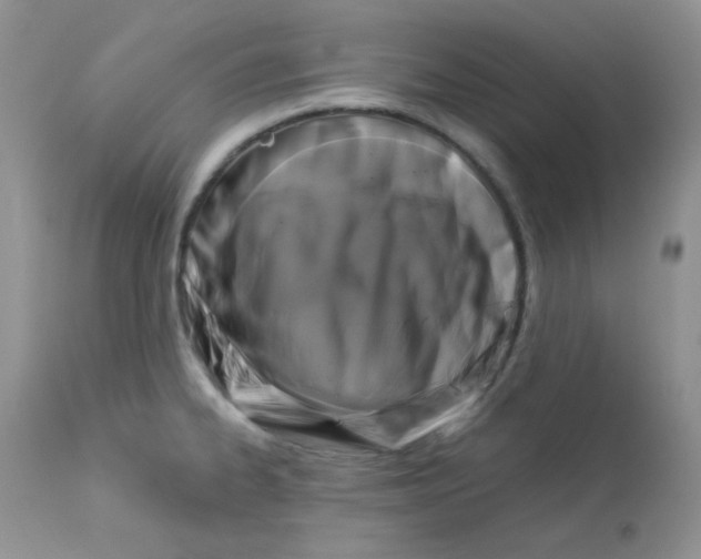 X0000113581334200910091453