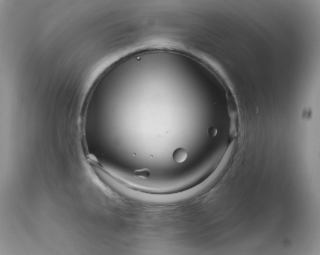 X0000113581335200910091453