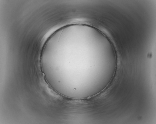 X0000113581336200910091453