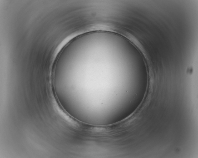 X0000113581339200910091453