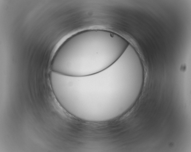 X0000113581340200910091453