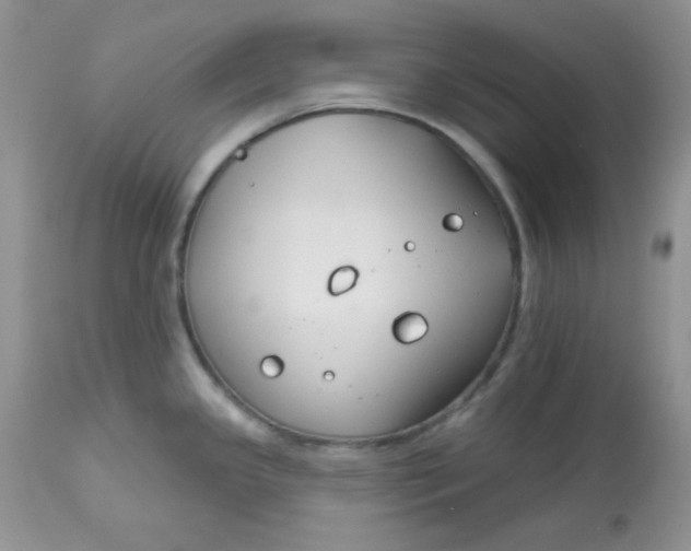 X0000113581341200910091453