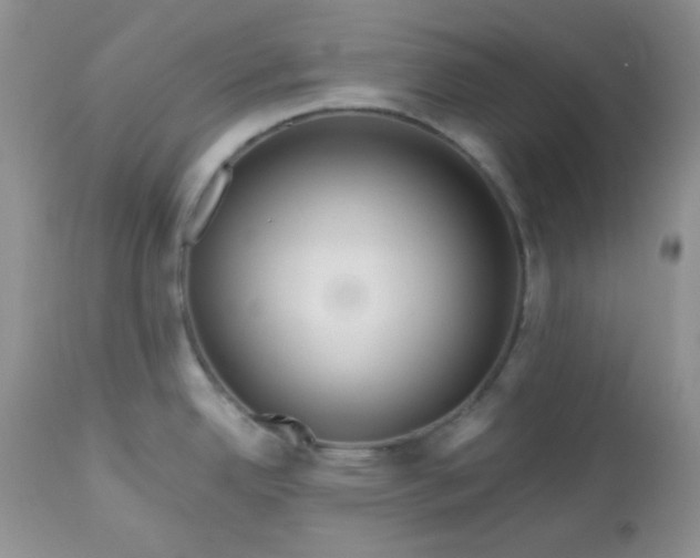 X0000113581342200910091453