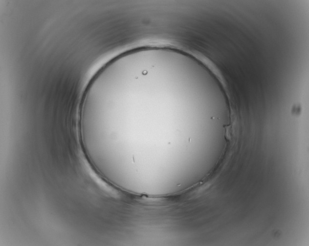 X0000113581343200910091453