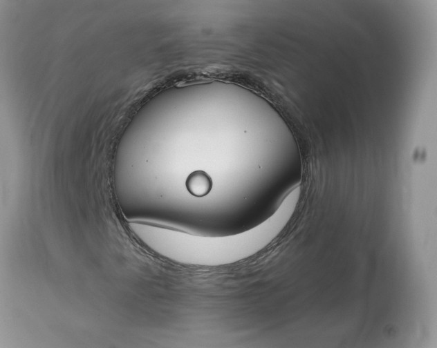 X0000113581345200910091452