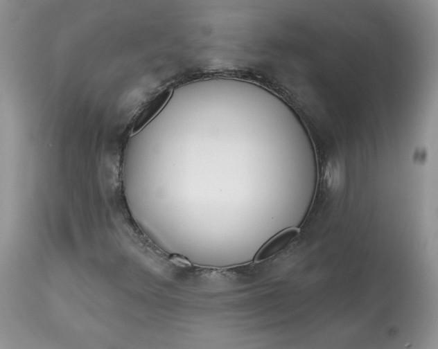 X0000113581348200910091452