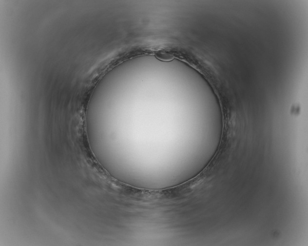 X0000113581349200910091452