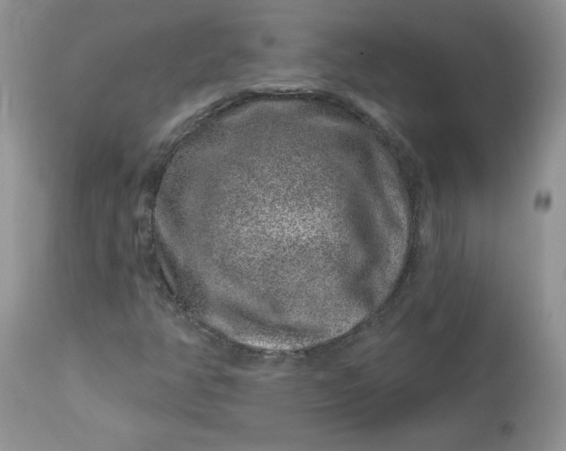 X0000113581350200910091452