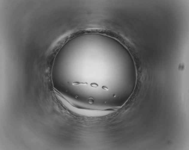 X0000113581351200910091452