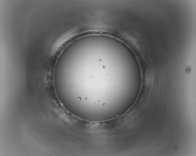 X0000113581352200910091452