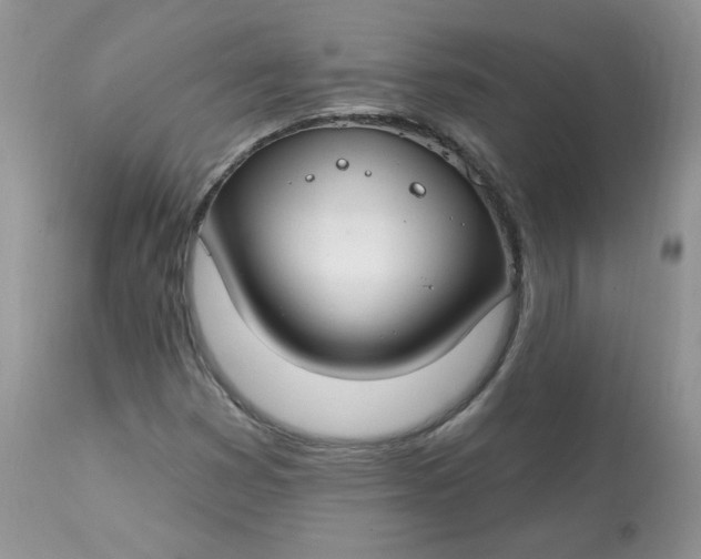 X0000113581353200910091452