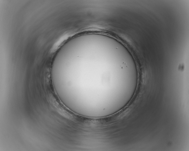 X0000113581355200910091452