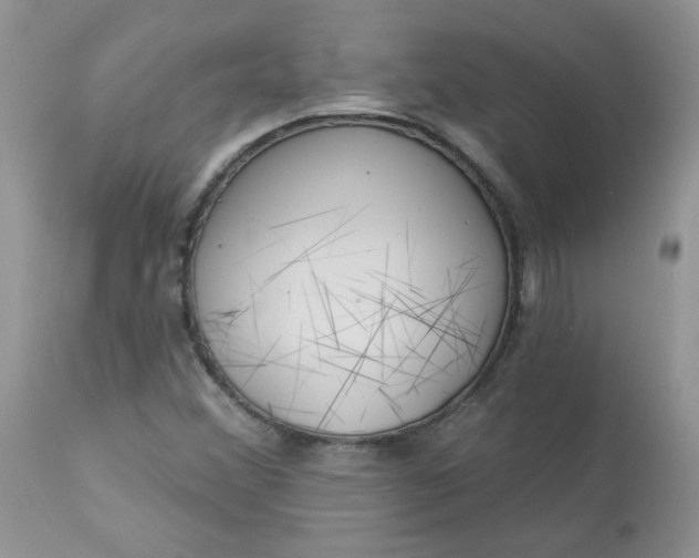 X0000113581356200910091452