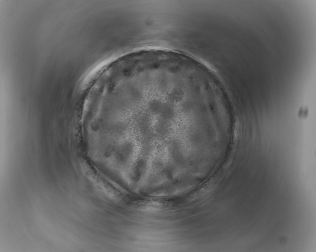 X0000113581359200910091452