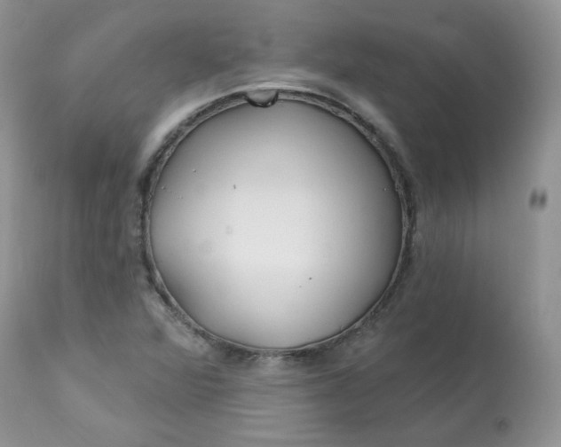 X0000113581360200910091452