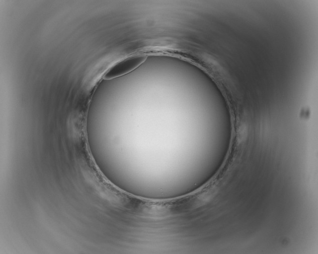 X0000113581361200910091452