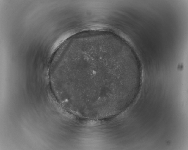 X0000113581362200910091452