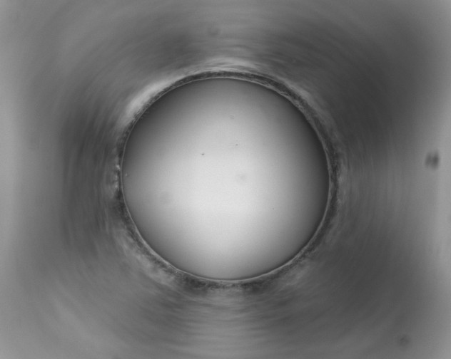 X0000113581363200910091452