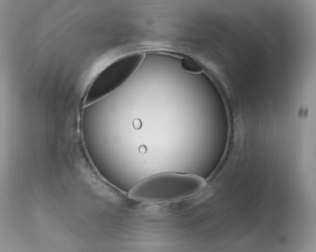 X0000113581365200910091452