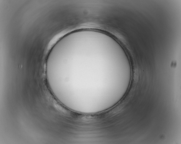 X0000113581366200910091452