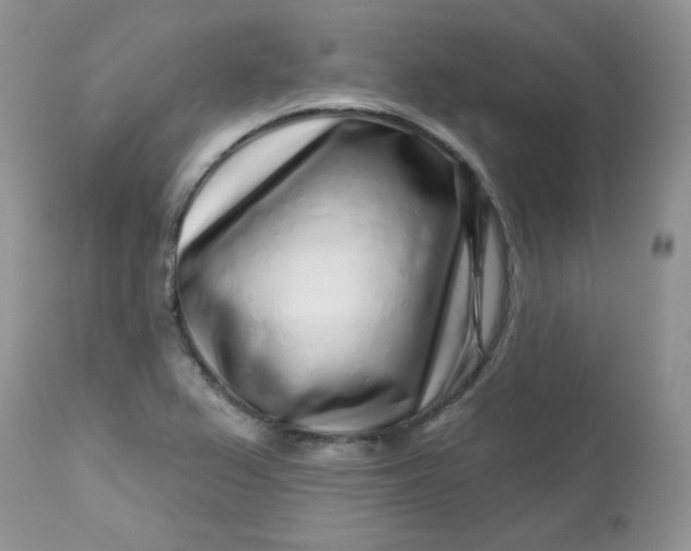 X0000113581367200910091452