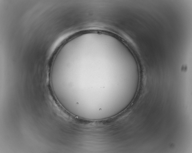 X0000113581368200910091452