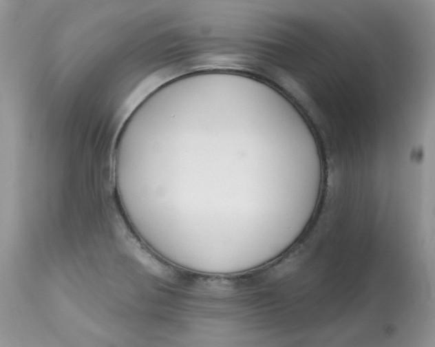 X0000113581370200910091452