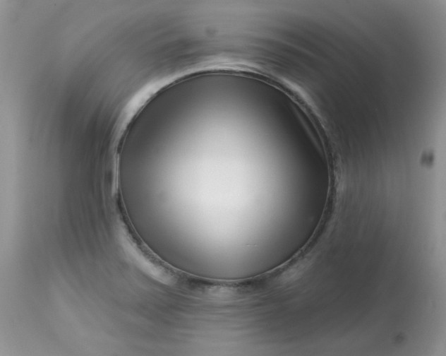 X0000113581371200910091452