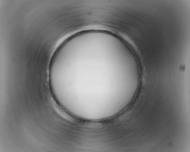 X0000113581372200910091452