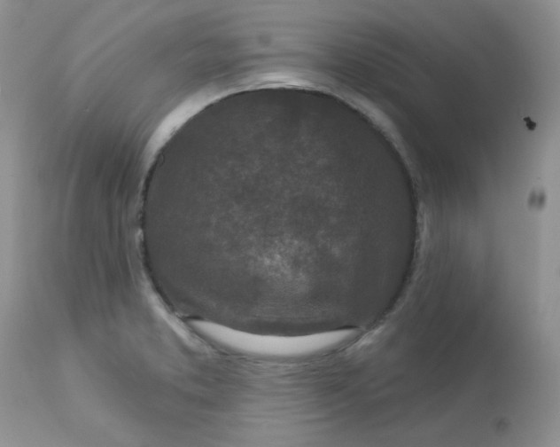 X0000113581373200910091452