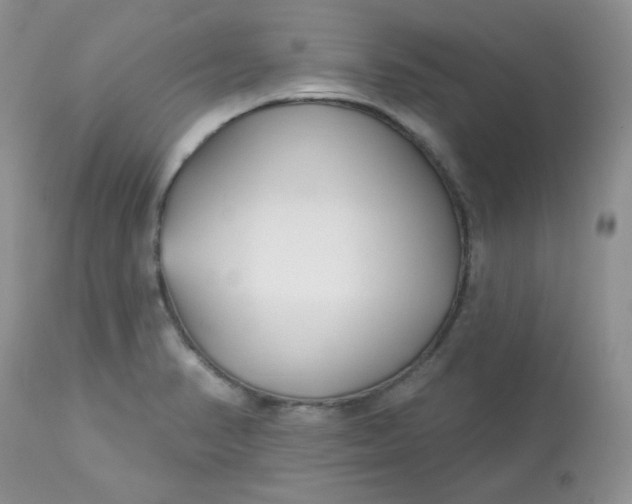 X0000113581374200910091452