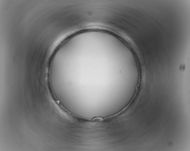 X0000113581376200910091452